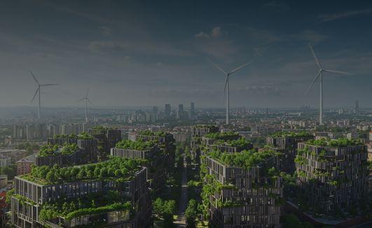 2. New Revenue from Flexibility Markets